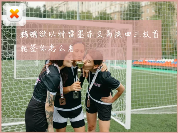 鹈鹕欲以特雷墨菲交易换回三枚首轮签你怎么看